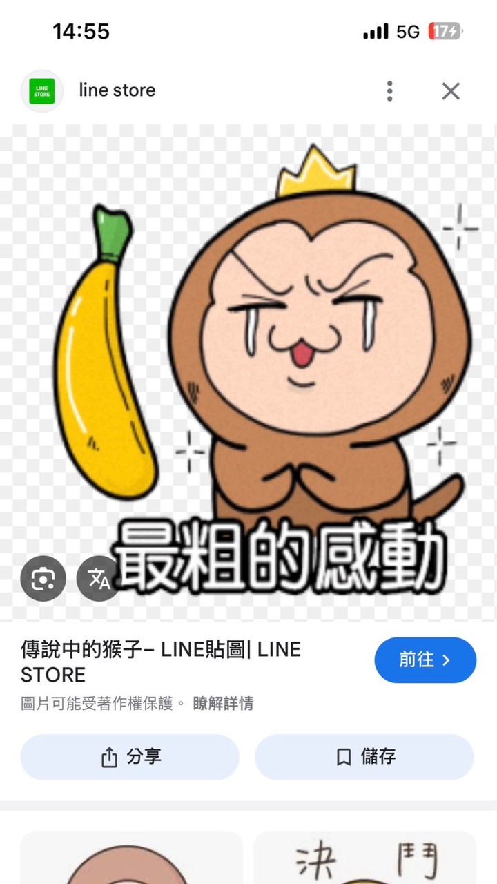 醉粗の港動