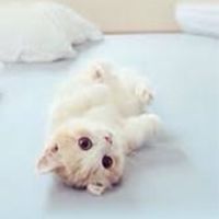 漢陽特區住戶群