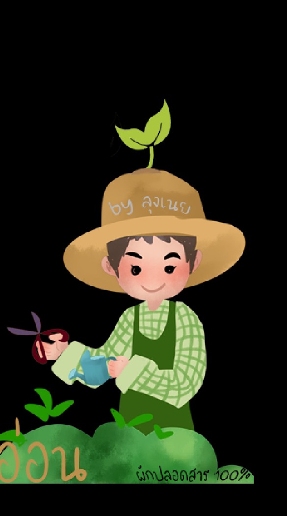 บ้านต้นอ่อน