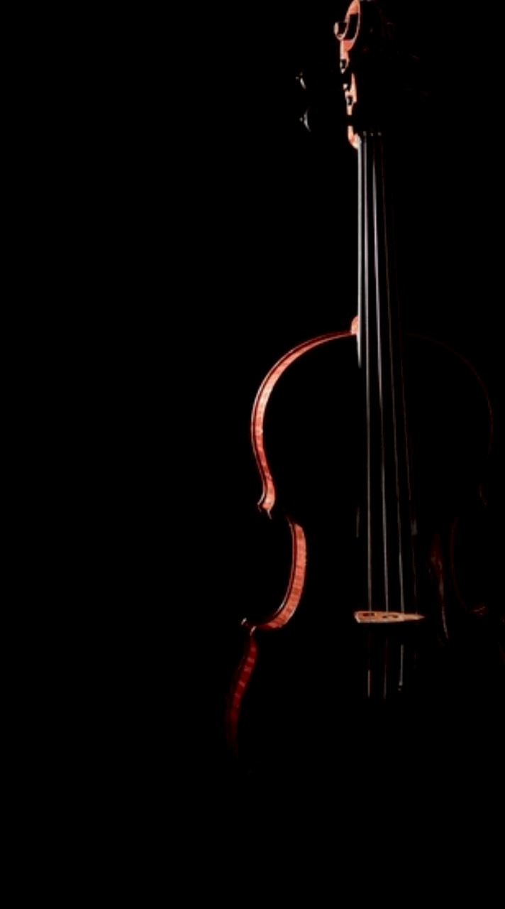 中醫大 弦樂團歷屆校友 🎻🎼🎶 CmuSE