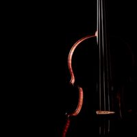 中醫大 弦樂團歷屆校友 🎻🎼🎶 CmuSE