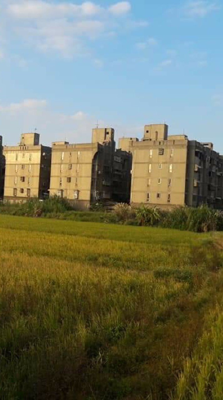 天鵝湖社區