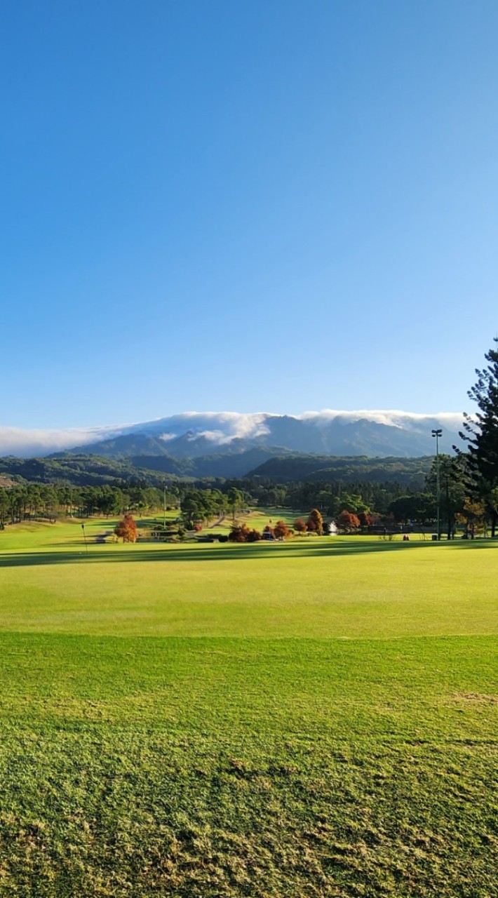 Woody Golf 高爾夫球