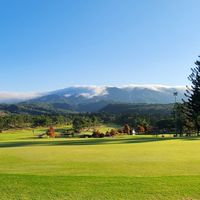 Woody Golf 高爾夫球
