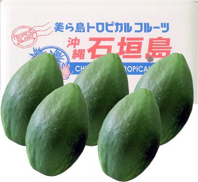 石垣島のフルーツ 石垣島の果物 野菜専門店 サン石垣