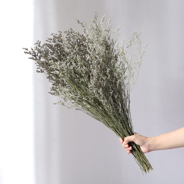 乾燥花 情人草 整束 勿忘我 永生花 仿真花 素材 不凋花 人造花 乾燥花束 花藝設計 婚禮佈置