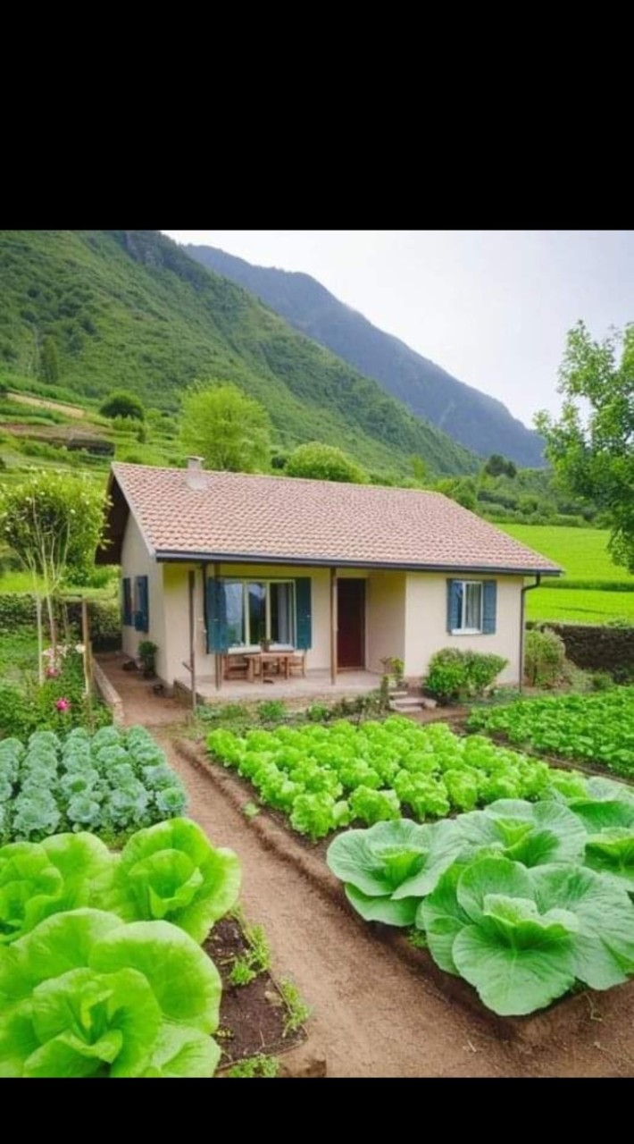 風景優美休閒地 投資案