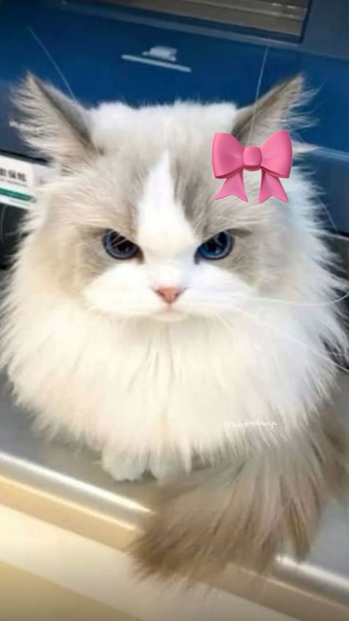 คุยเล่นกัน(ใหม่)