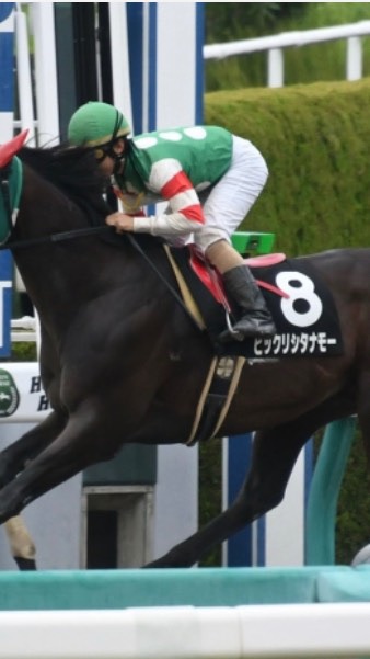 競馬を制する！