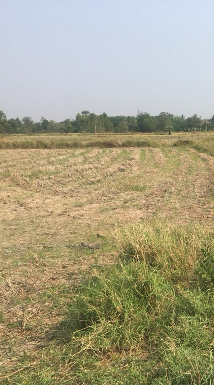 ขายที่ดินโคราช