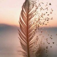 ᴿ⸝⋆30🫧🥂大人のhoroyoi𝒓𝒐𝒐𝒎🌼