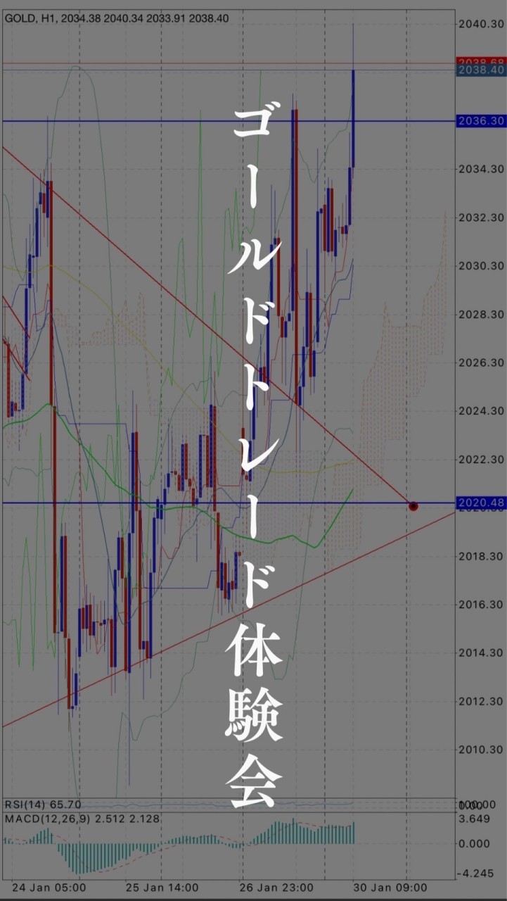 OpenChat goldトレード体験グループ