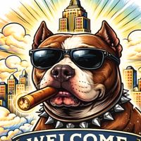 NEWYORK ROO CLASSIC