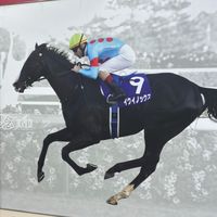 競馬好きな人集まれ〜！