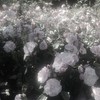 地続きでパリにいけるまで！