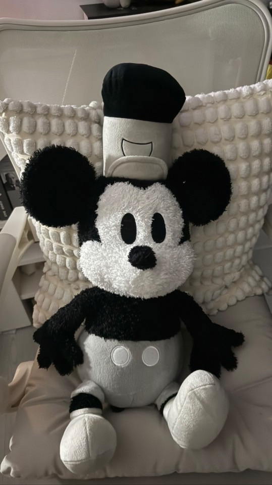 米奇妙妙屋🐭