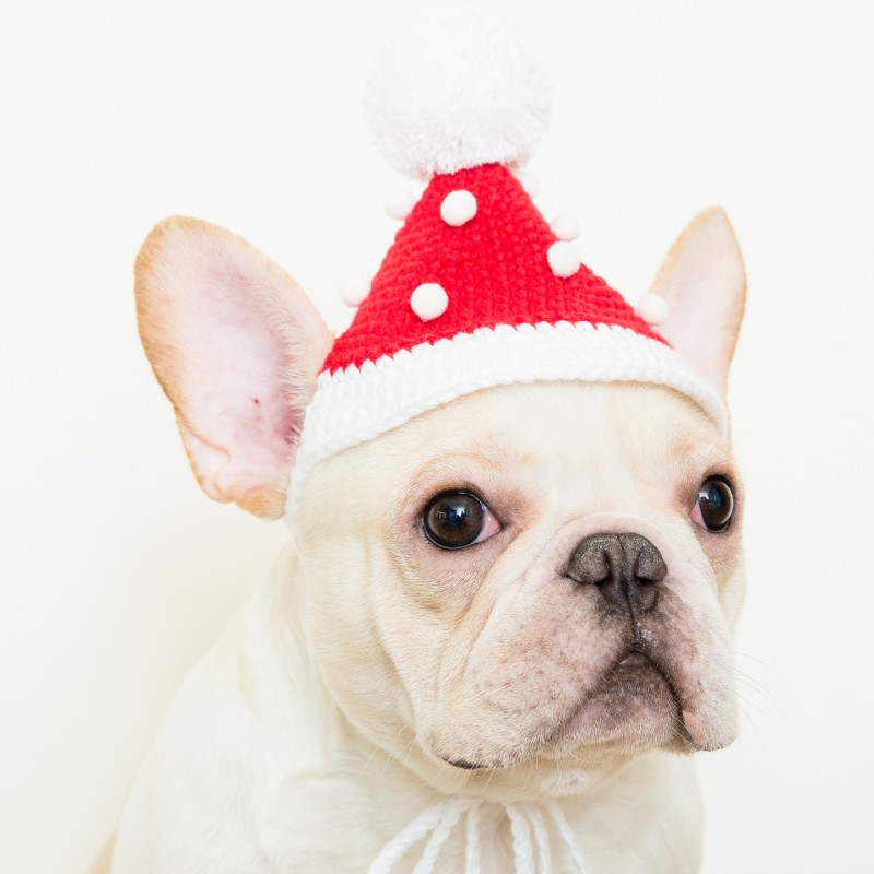 有我們暖心陪伴，這個聖誕節不怕冷也不孤單！有球球、橫紋、星星、經典等四個花樣可選擇。以人造纖維毛線編織而成，挺度與質感兼具，毛孩戴上頭套舒適又保暖。提供送禮服務，可幫您附上手寫小卡（內容可依您需求），