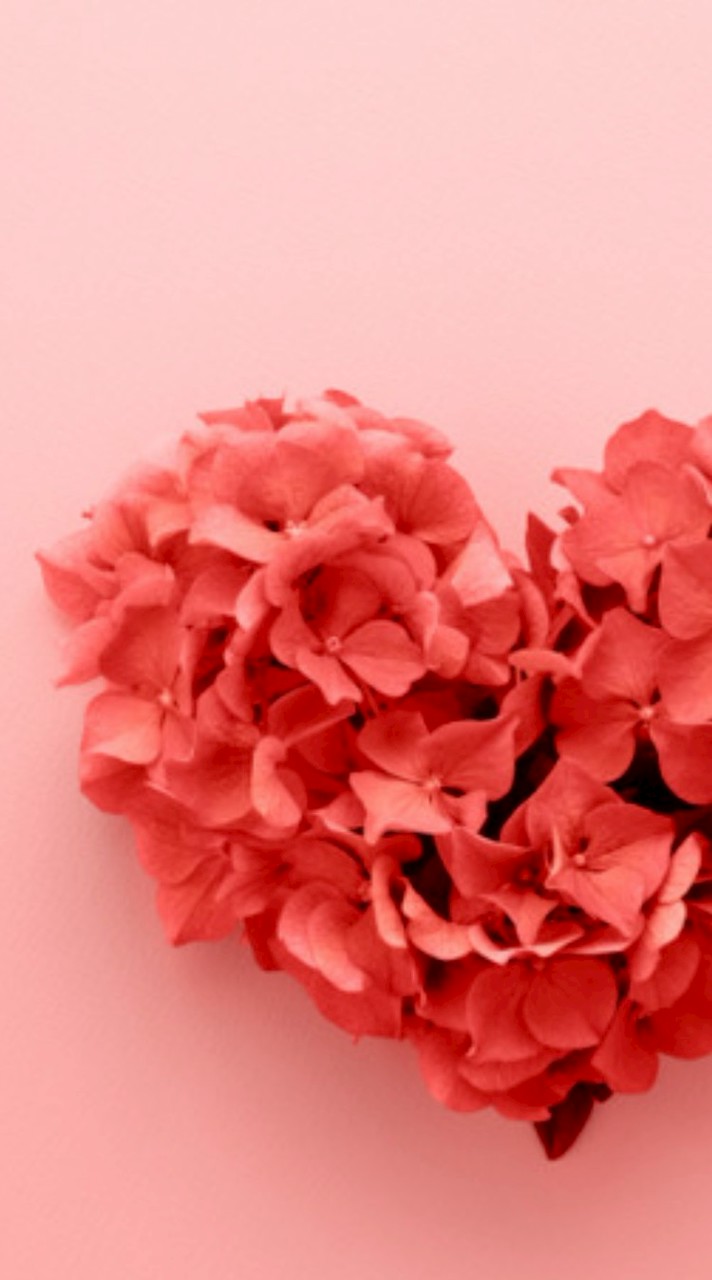 恋した人集まれ〜！