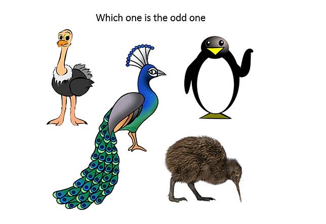 Gunakan Logika Pilih Satu Burung Yang Paling Aneh Di Gambar Ini