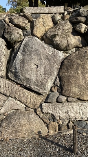 岩手でインクルーシブ教育を考えよう