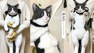 日本「整隻貓貓咪後背包」推特爆紅，超逼真外型療癒又實用，貓奴們絕對要擁有～