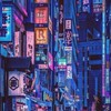 眠らない町『カブキ町』[全也]