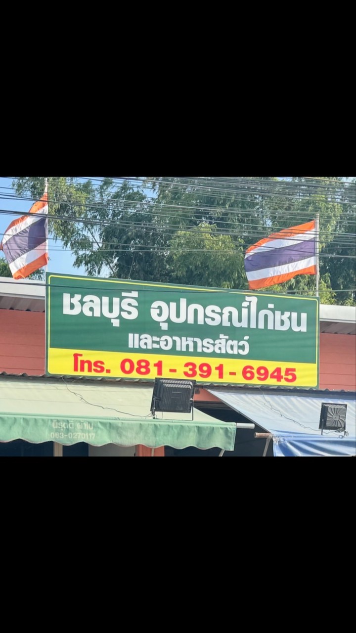 ชลบุรีอุปกรณ์ไก่ชน