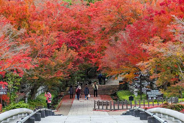 日本紅葉情報19 10個大阪紅葉名所及預測 必看紅葉隧道 參加紅葉狩 Cosmopolitan Hk Line Today