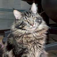 ❤️特殊孩與家長和解❤️