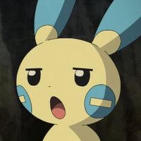 朝がしゅき