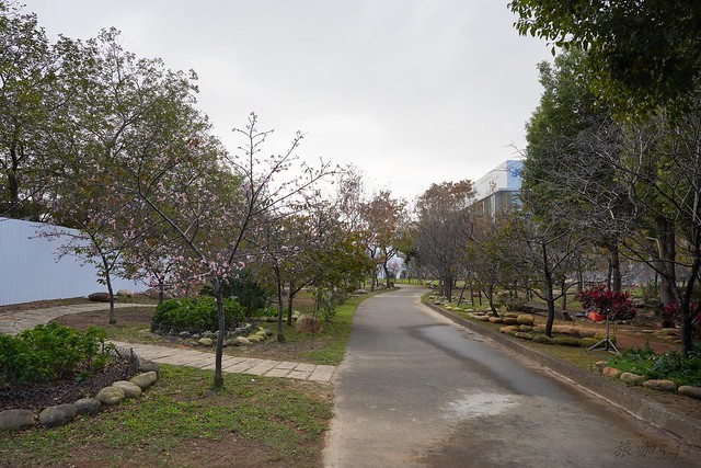 崴立機電櫻花公園