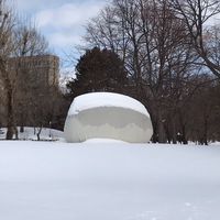 Help the 北海道の大学生