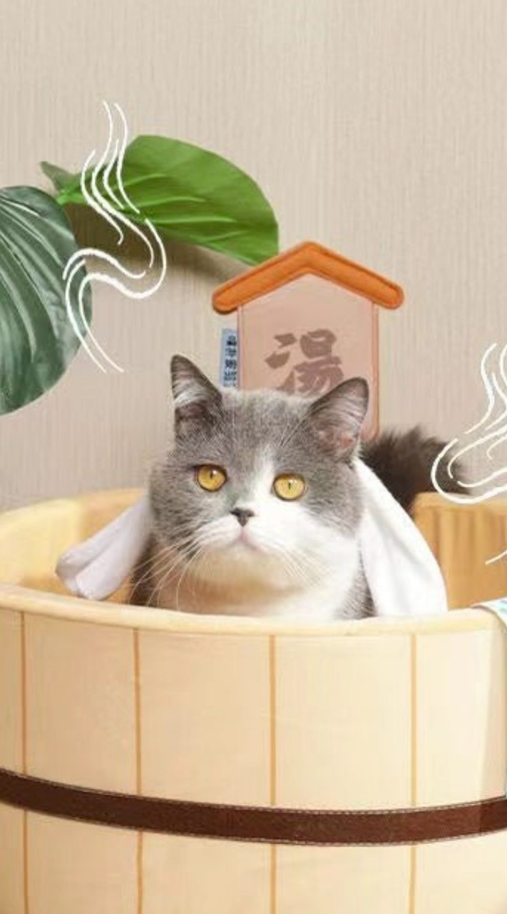 ปาร์ตี้เฮฮา ออนเซ็นทั่วหล้า ซาวน่าทั่วกัน II Onsen SN OD