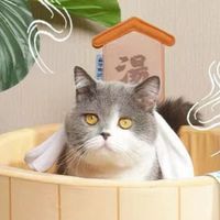 ปาร์ตี้เฮฮา ออนเซ็นทั่วหล้า ซาวน่าทั่วกัน II Onsen SN OD