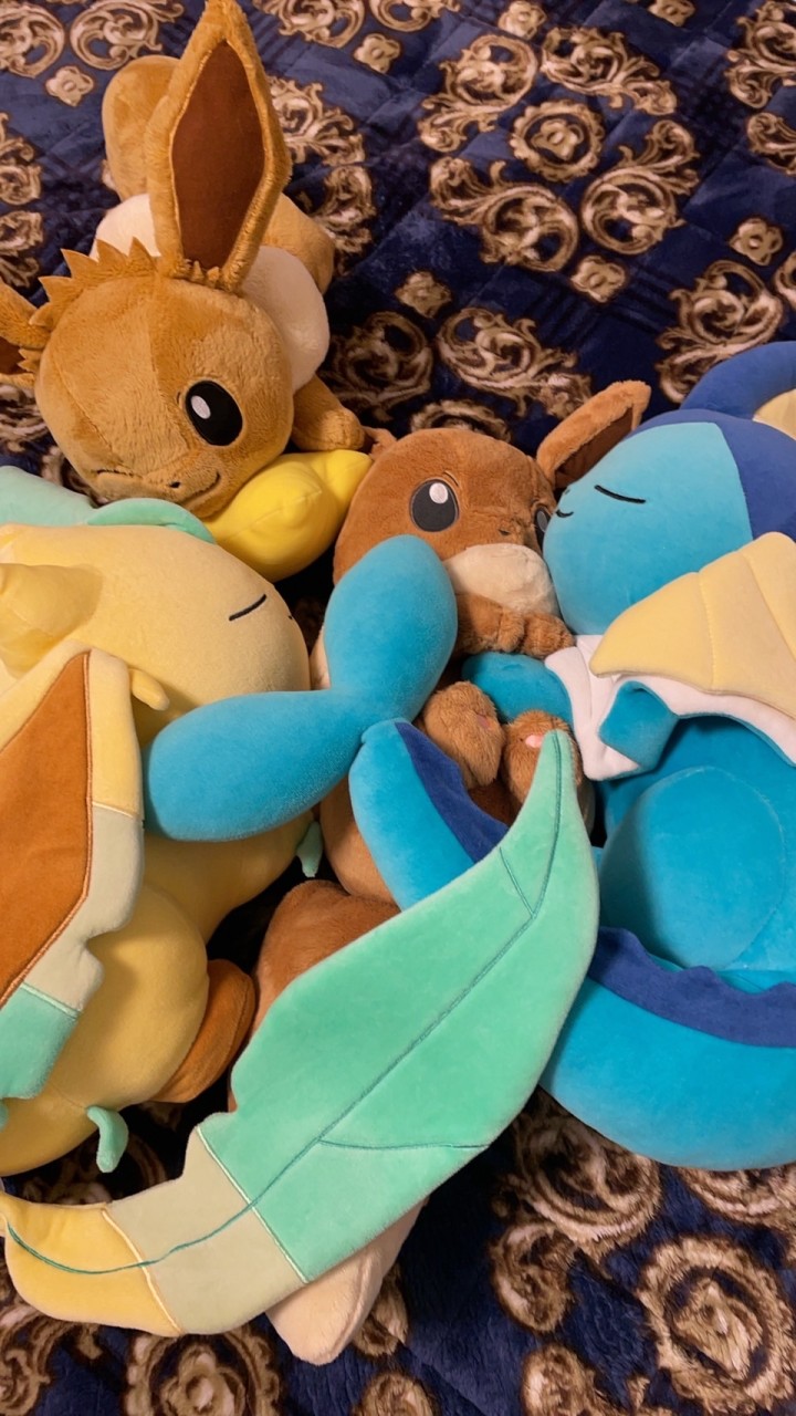 ポケモン〜ぬいぐるみに埋もれよう〜
