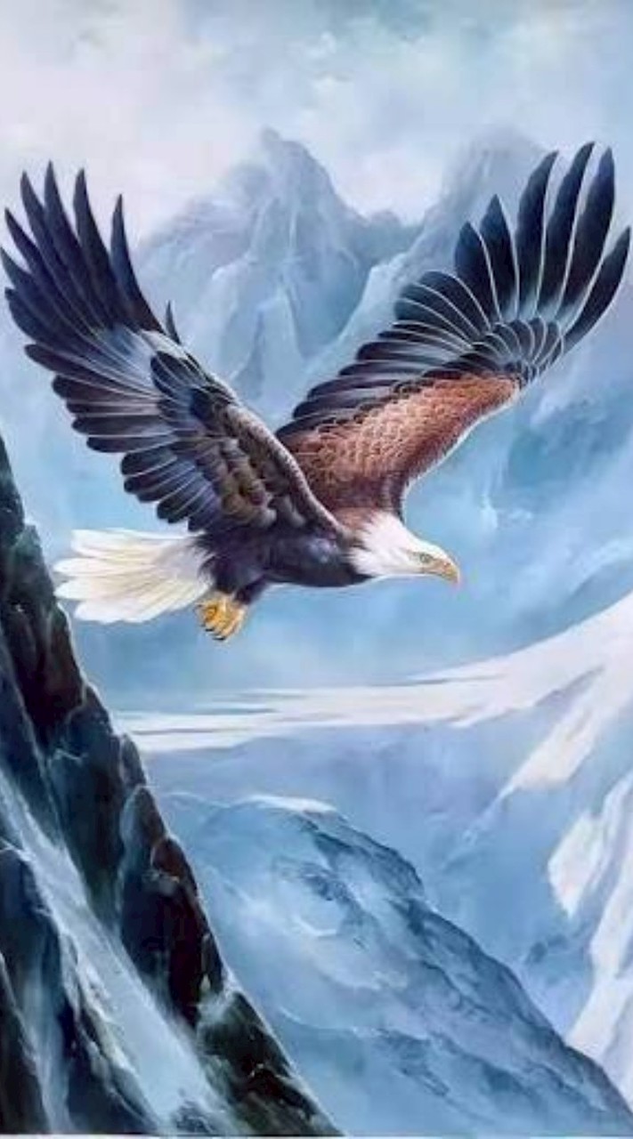 ##翱翔羽球團## [教練親自開團]