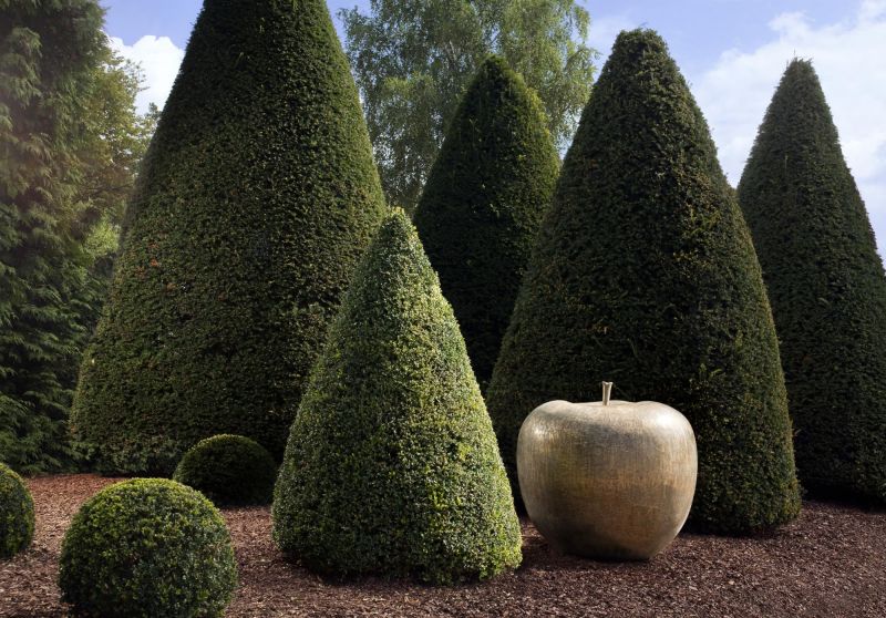 我的家裡面，有蘋果在裡面～