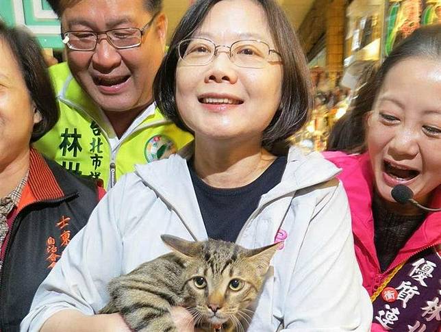 	韓粉檢舉貓咪社團導致下架？孫大千狠飆一語完爆