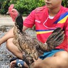 น้องกานต์ฟาร์ม (ปากช่อง)