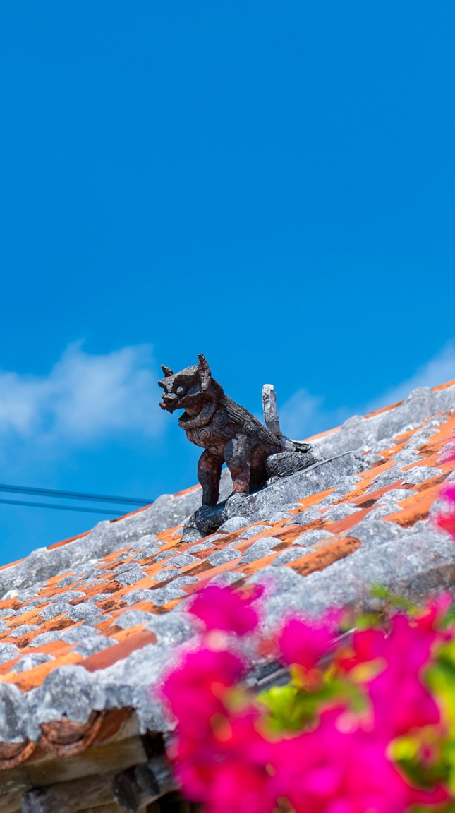 Churashima Uchina (Okinawa)