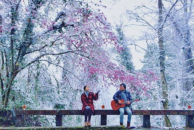 拉拉山（圖片來源：IG @rosycloudband）