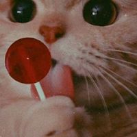 ทุกอย่างก็ไม่ง่าย   แต่ไม่มีอะไรยากหรอก