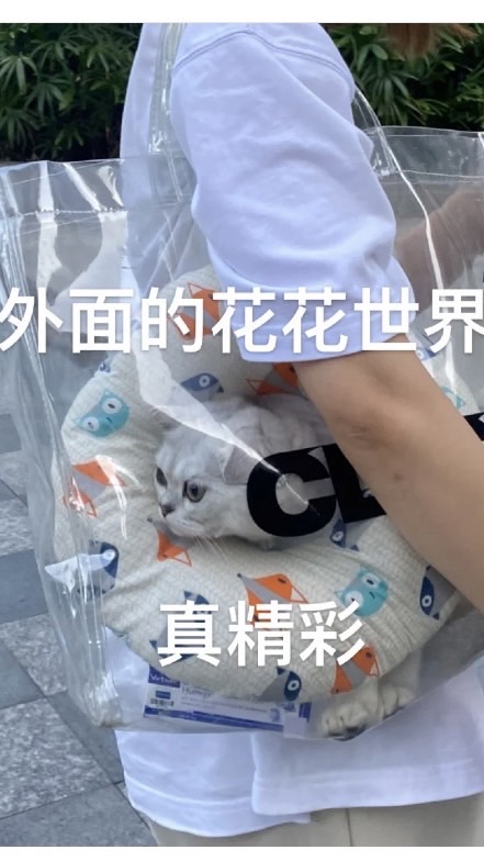 ㄆㄨㄚˋ麻啊都給我滾