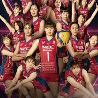 NECレッドロケッツを応援しよう!!