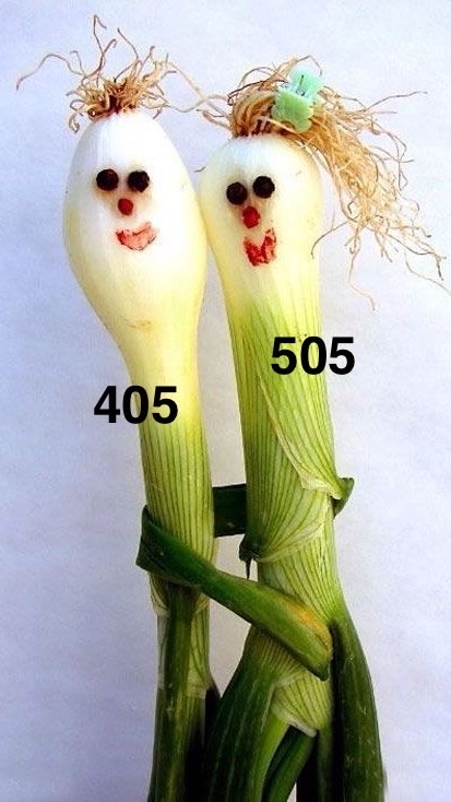 405 + 505