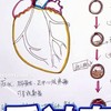 建康訊息分享傳遞