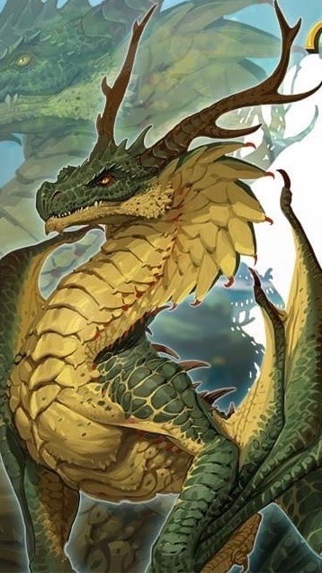 二之國🐲奈特拉姆-退休部