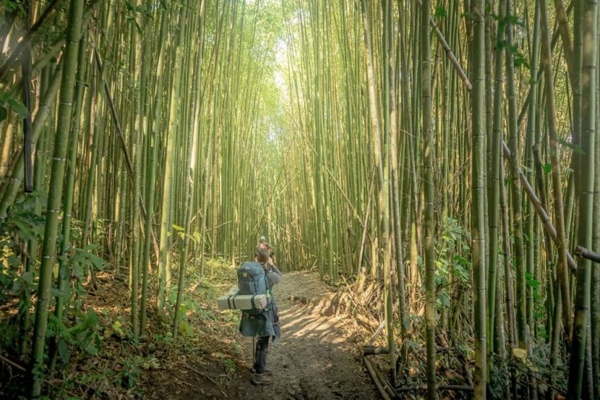 ▸新竹景點, ▸旅遊情報, 尖石鄉 健行, 古道, 新竹, 步道, 登山森林, 秘境, 路程, 霞喀羅古道, 霞喀羅國家步道 2022
