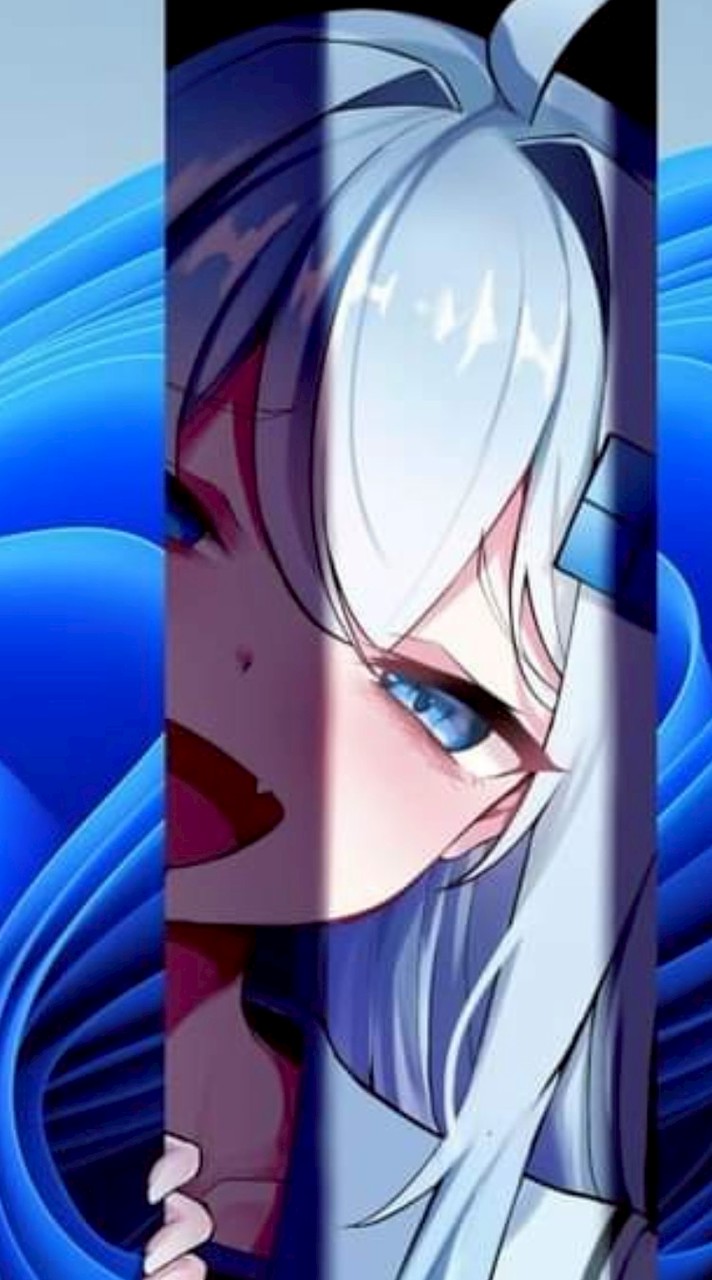 胖迪小圈圈