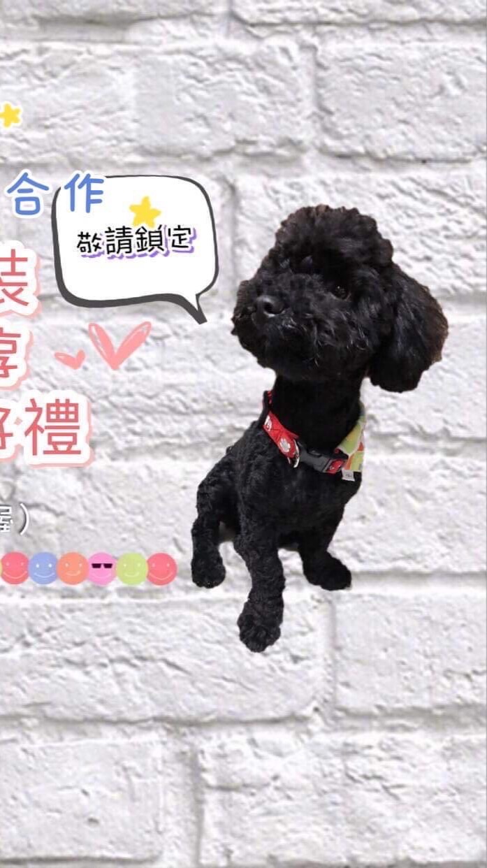 甜甜圈